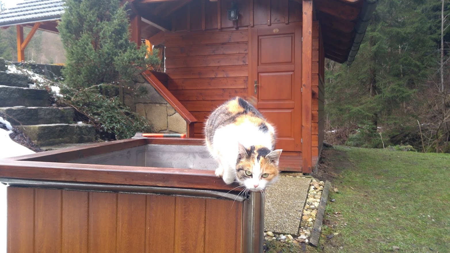 Sauna06.jpg