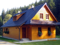 letni01